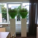 receptie bruil